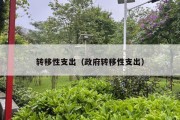 转移性支出（政府转移性支出）