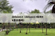 deluxe13（deluxe13支持4k显示器吗）