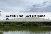 cpa查询报名信息（cpa报名查询状态系统）