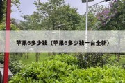 苹果6多少钱（苹果6多少钱一台全新）