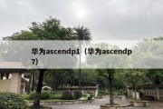 华为ascendp1（华为ascendp7）