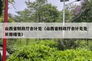 山西省财政厅会计处（山西省财政厅会计处处长邢绪生）