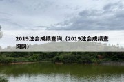 2019注会成绩查询（2019注会成绩查询网）