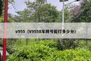 v955（V955X车牌号能打多少分）