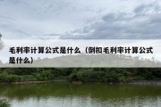 毛利率计算公式是什么（倒扣毛利率计算公式是什么）