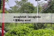 accaglobal（accaglobal 官网my acca）