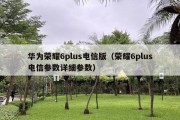 华为荣耀6plus电信版（荣耀6plus电信参数详细参数）