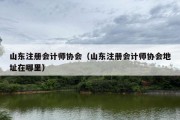 山东注册会计师协会（山东注册会计师协会地址在哪里）