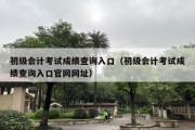 初级会计考试成绩查询入口（初级会计考试成绩查询入口官网网址）