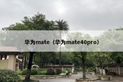 华为mate（华为mate40pro）