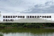 处置固定资产净收益（处置固定资产净收益属于收入吗）