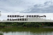 手机投屏到ipad（手机投屏到ipad为什么ipad没有显示）