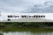 魅族17pro（魅族17pro屏幕维修价格）