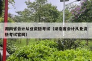 湖南省会计从业资格考试（湖南省会计从业资格考试官网）