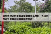 深圳办理计划生育证明需要什么材料（办深圳市计划生育证明需要哪些东西）