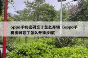 oppo手机密码忘了怎么开锁（oppo手机密码忘了怎么开锁步骤）