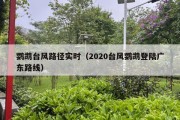 鹦鹉台风路径实时（2020台风鹦鹉登陆广东路线）