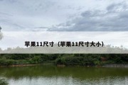 苹果11尺寸（苹果11尺寸大小）