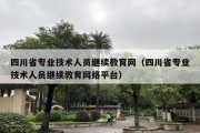 四川省专业技术人员继续教育网（四川省专业技术人员继续教育网络平台）