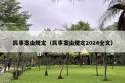 民事案由规定（民事案由规定2024全文）