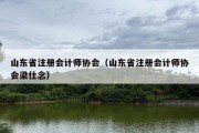 山东省注册会计师协会（山东省注册会计师协会梁仕念）