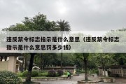 违反禁令标志指示是什么意思（违反禁令标志指示是什么意思罚多少钱）