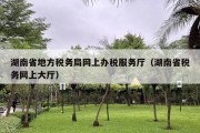 湖南省地方税务局网上办税服务厅（湖南省税务网上大厅）