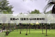 蓝魔w9（蓝魔王rush效果如何）