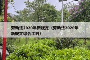 劳动法2020年新规定（劳动法2020年新规定综合工时）