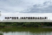 净资产回报率（净资产回报率公示怎么算）