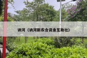 讷河（讷河新农合资金互助社）