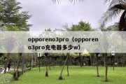 opporeno3pro（opporeno3pro充电器多少w）