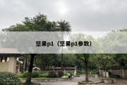 坚果p1（坚果p1参数）