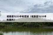 诺基亚5233手机壁纸（诺基亚5233手机图片）