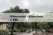 华为ascendp2（华为ascendp2 发售）