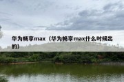 华为畅享max（华为畅享max什么时候出的）