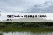 诺基亚500fate（诺基亚是哪个国家的牌子）