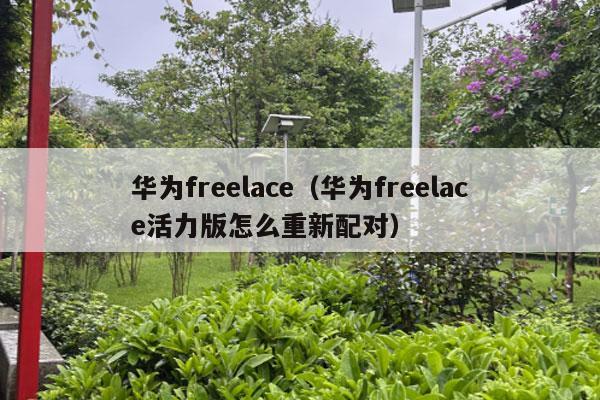 华为freelace（华为freelace活力版怎么重新配对）