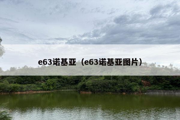 e63诺基亚（e63诺基亚图片）