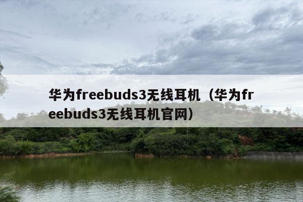 华为freebuds3无线耳机（华为freebuds3无线耳机官网）