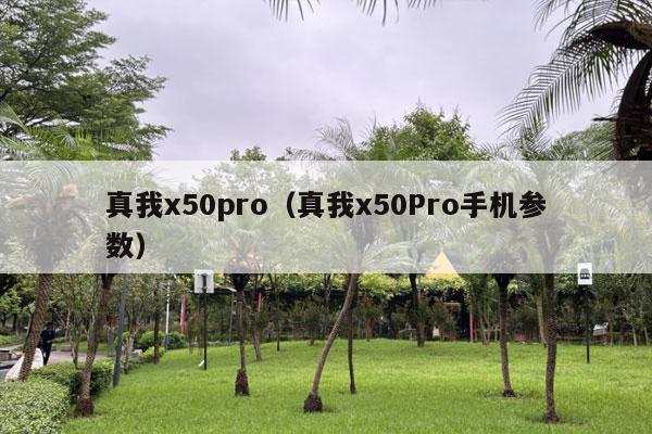 真我x50pro（真我x50Pro手机参数）