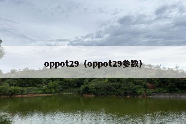 oppot29（oppot29参数）