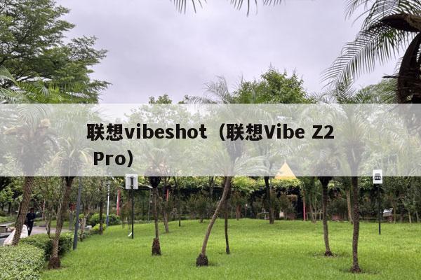 联想vibeshot（联想Vibe Z2 Pro）