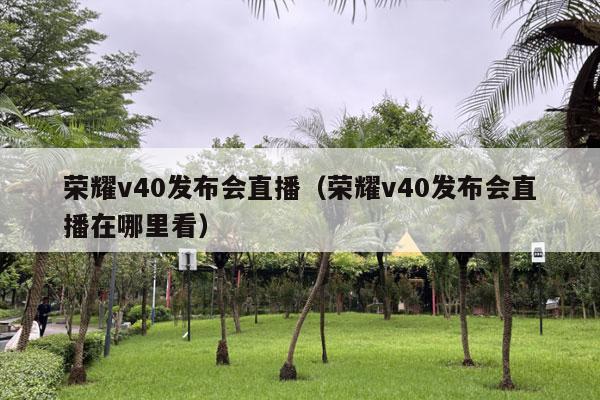 荣耀v40发布会直播（荣耀v40发布会直播在哪里看）