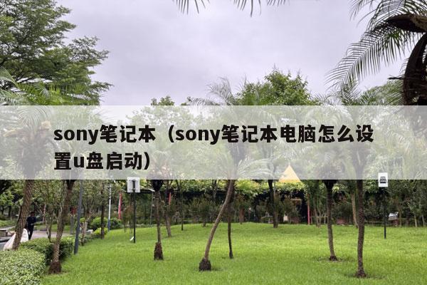 sony笔记本（sony笔记本电脑怎么设置u盘启动）