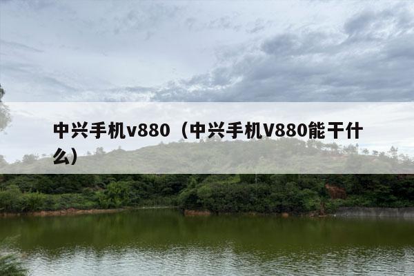 中兴手机v880（中兴手机V880能干什么）