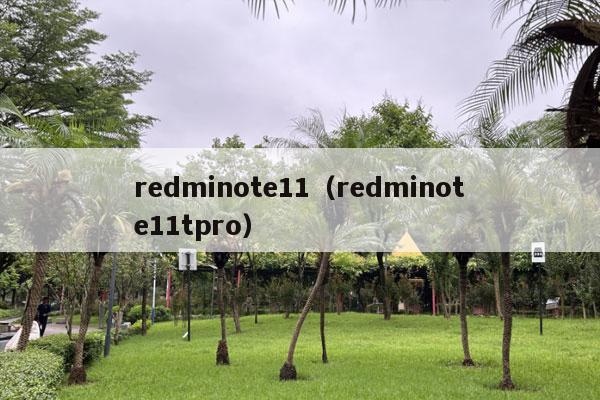 redminote11（redminote11tpro）