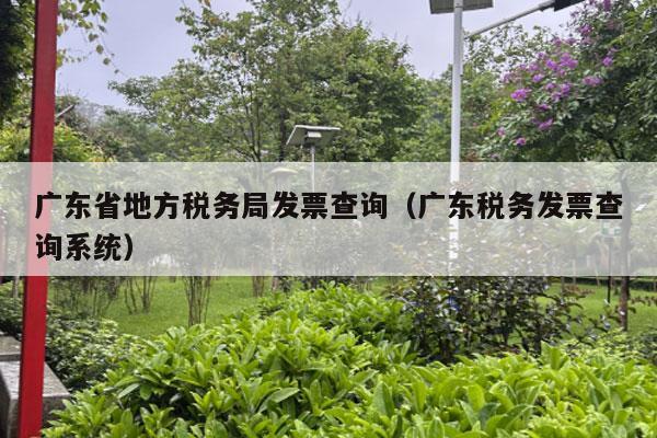 广东省地方税务局发票查询（广东税务发票查询系统）