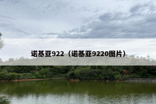 诺基亚922（诺基亚9220图片）