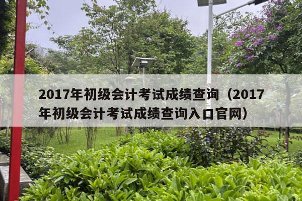 2017年初级会计考试成绩查询（2017年初级会计考试成绩查询入口官网）